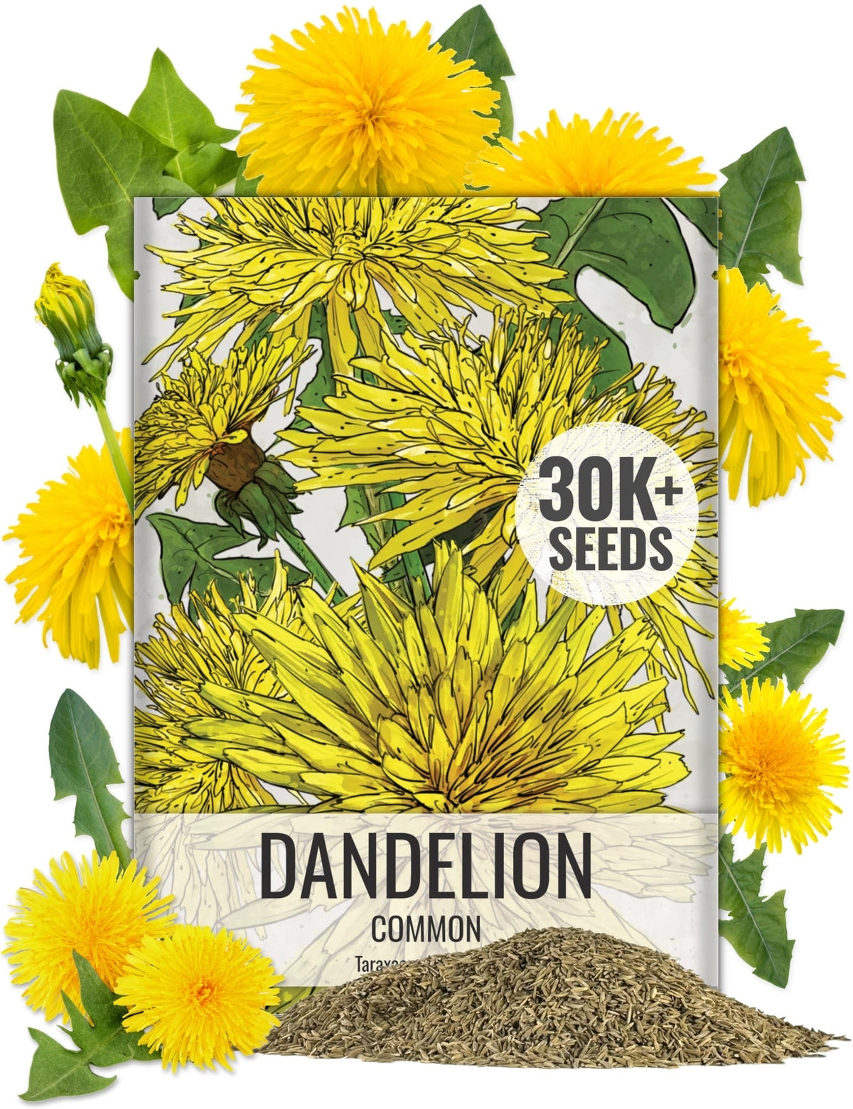 Seed Needs dandelion seed packet front, ideal for starting a home garden