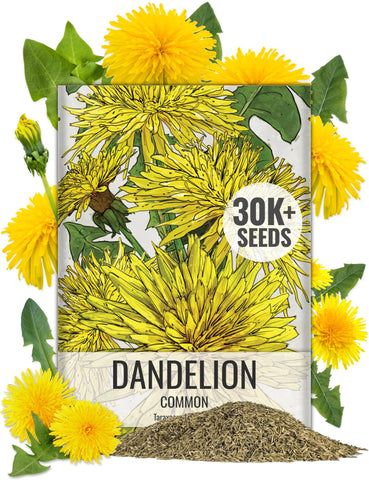 Seed Needs dandelion seed packet front, ideal for starting a home garden