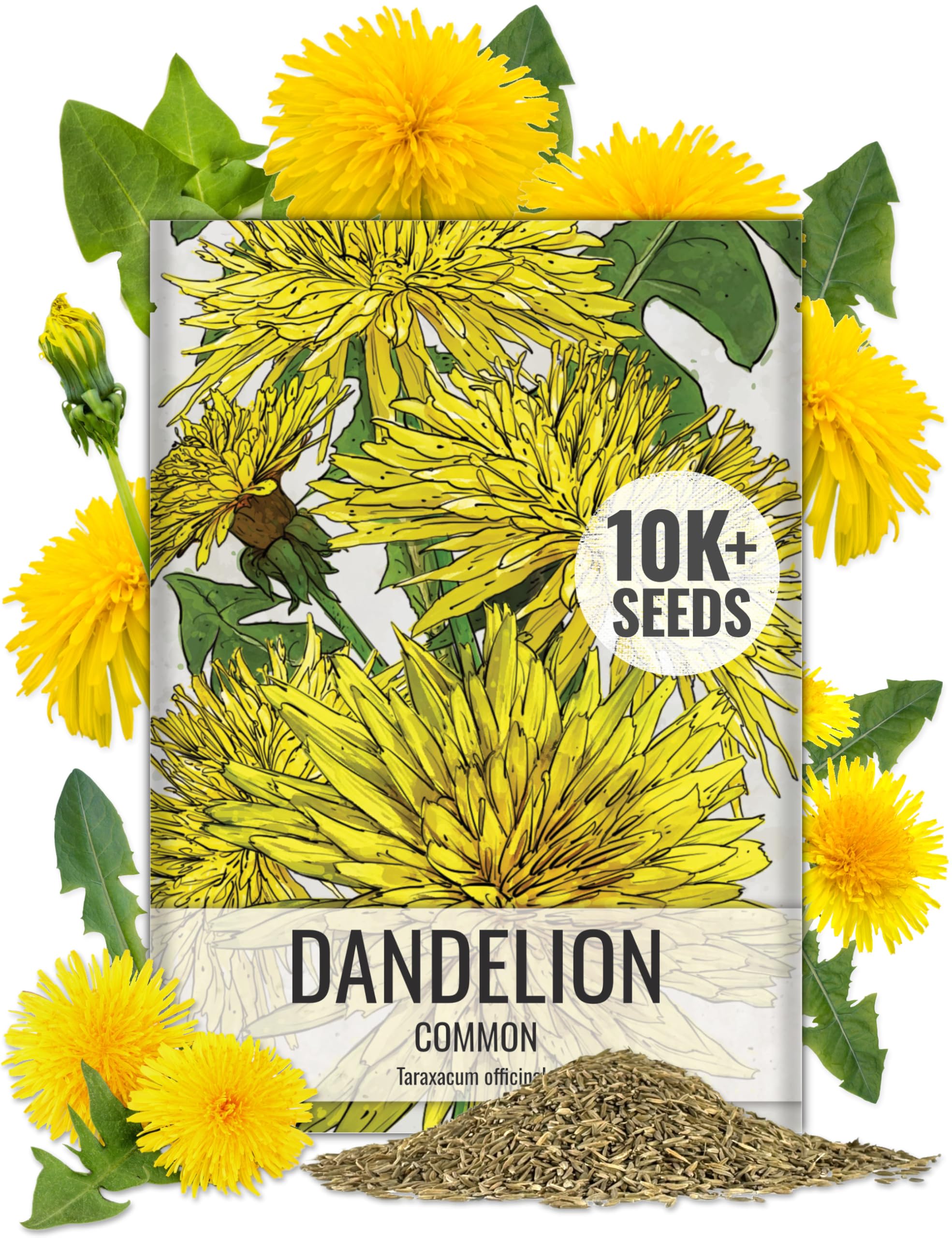 Seed Needs dandelion seeds packaging with clear labeling for easy planting.