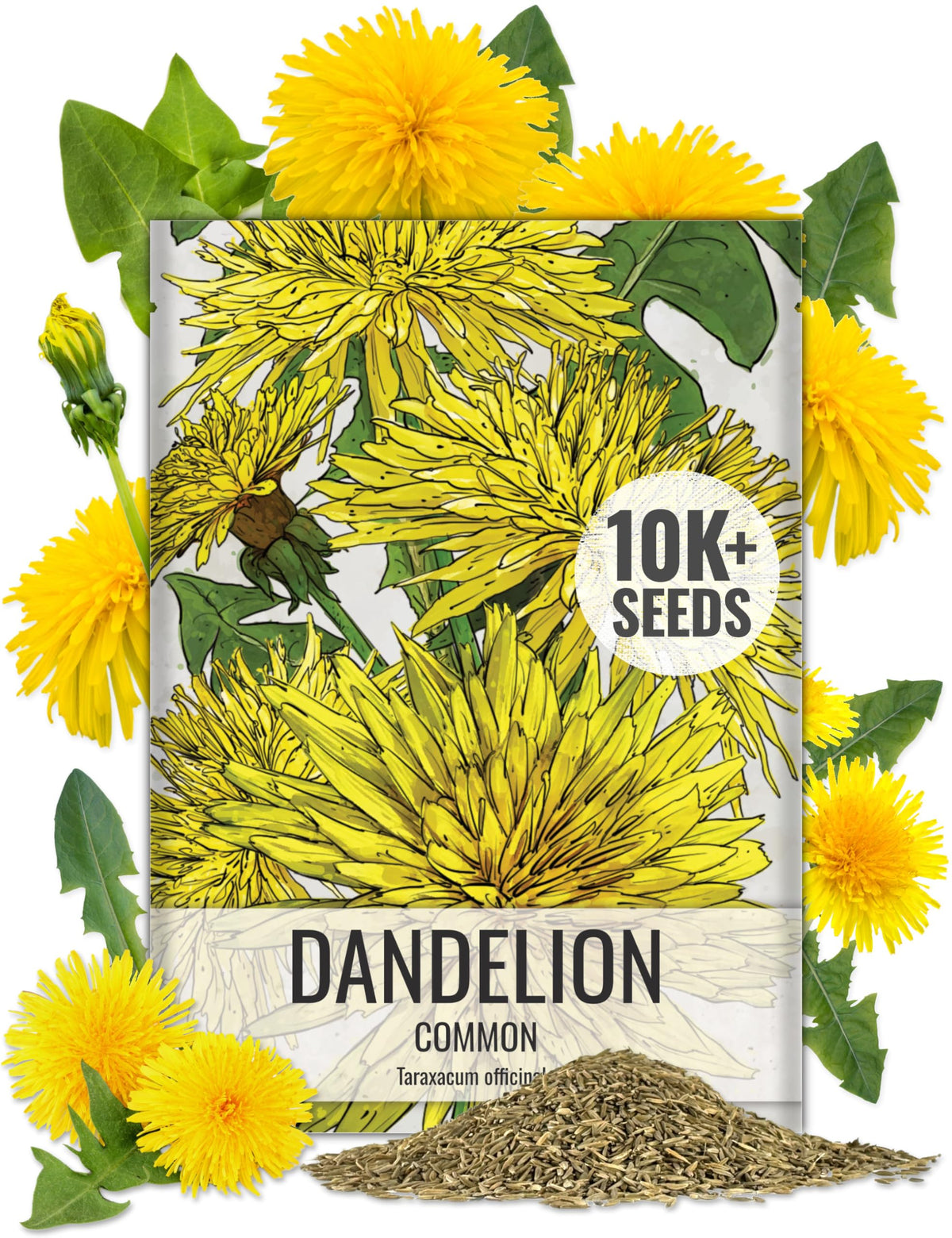 Seed Needs dandelion seeds packaging with clear labeling for easy planting.