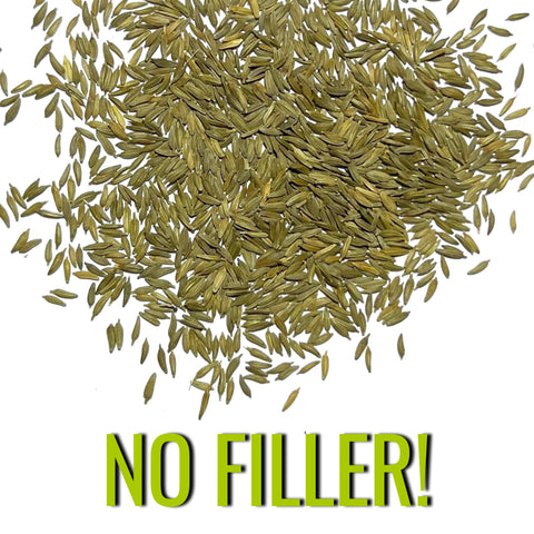Seed Needs dandelion seeds sowing guide helps home gardeners.