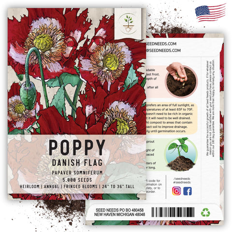 Seed Needs Danish Flag Poppy in a pollinator garden with bright red and white display.