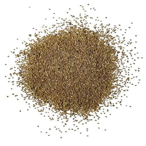 Seed Needs Danish Flag Poppy seed packet demonstrates open-pollinated heirloom seeds for reliability.