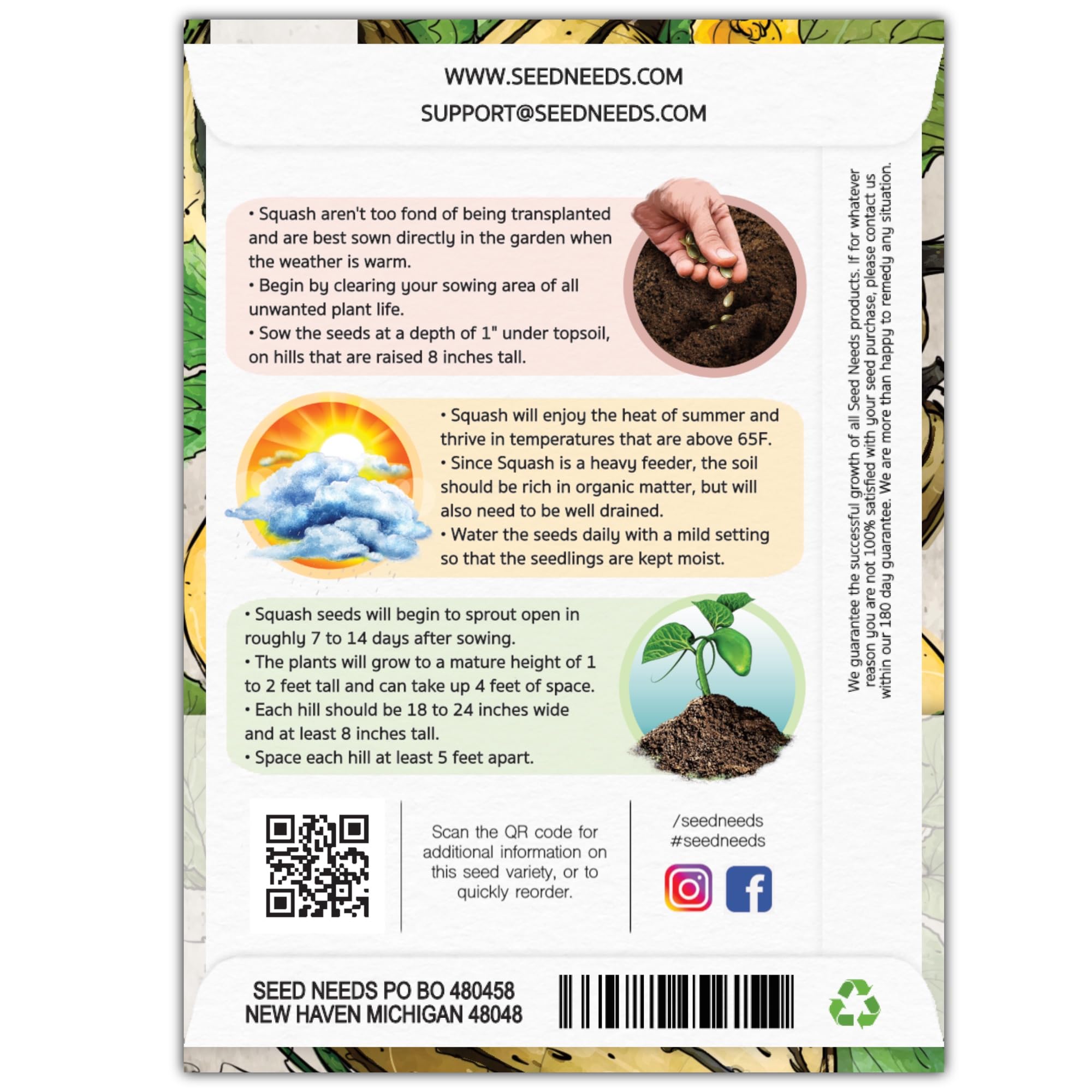 Seed Needs Delicata seeds packet back with easy sowing instructions.