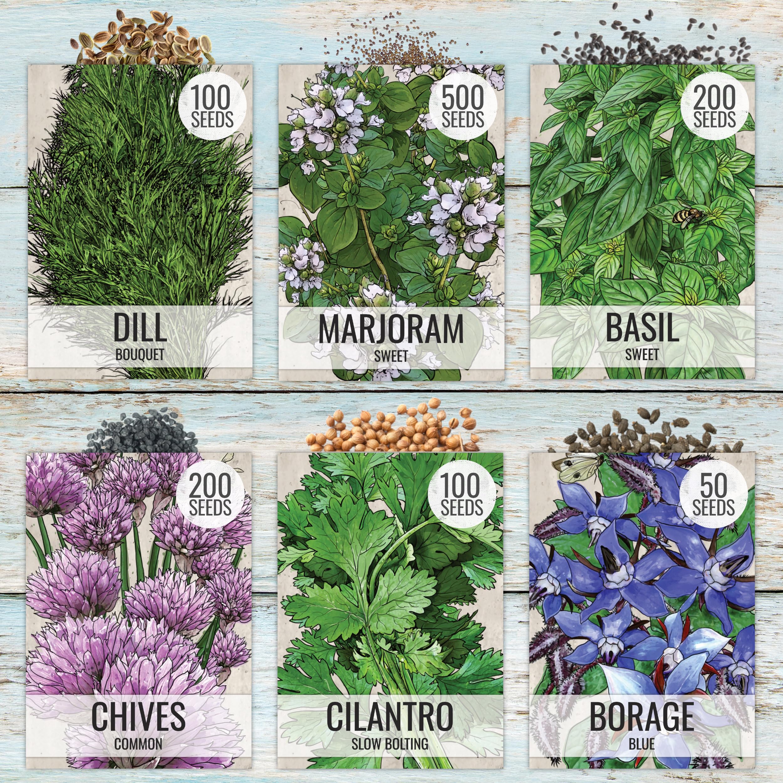 Seed Needs dill seeds packet for fragrant greens in recipes.