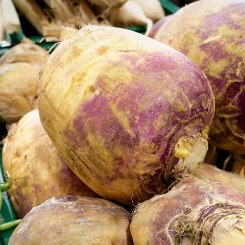 Seed Needs Direct-sow late spring guidance for autumn abundance.