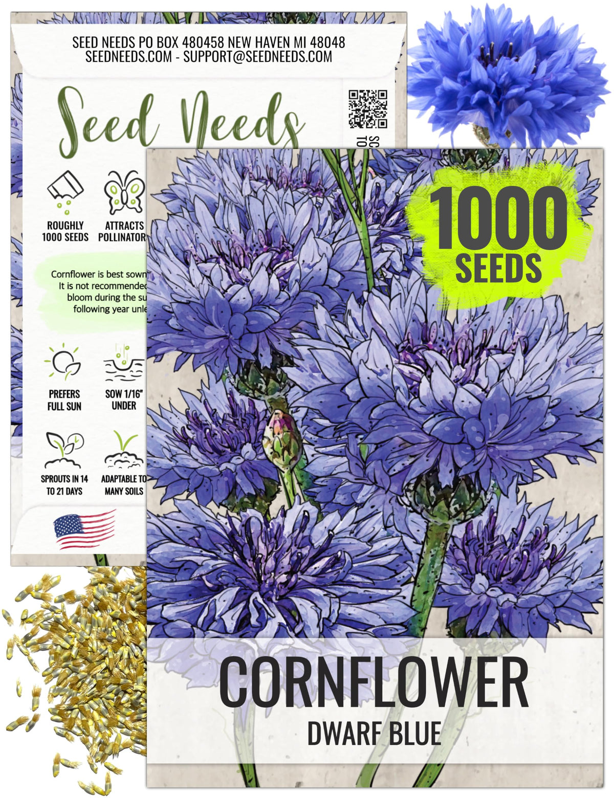 Seed Needs Dwarf Blue Cornflower planting in borders or containers for color