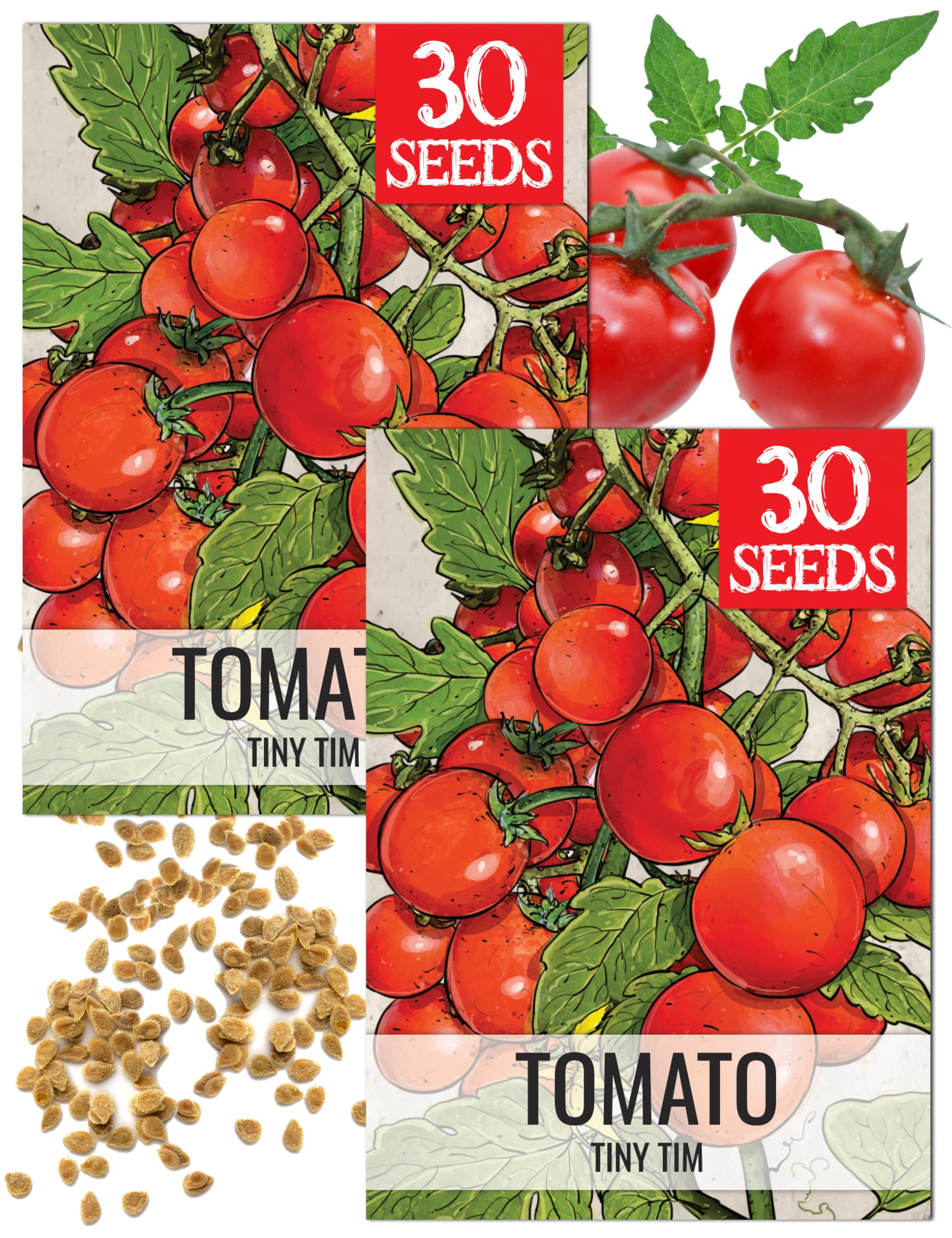 Seed Needs Tiny Tim seeds ready for compact container planting.