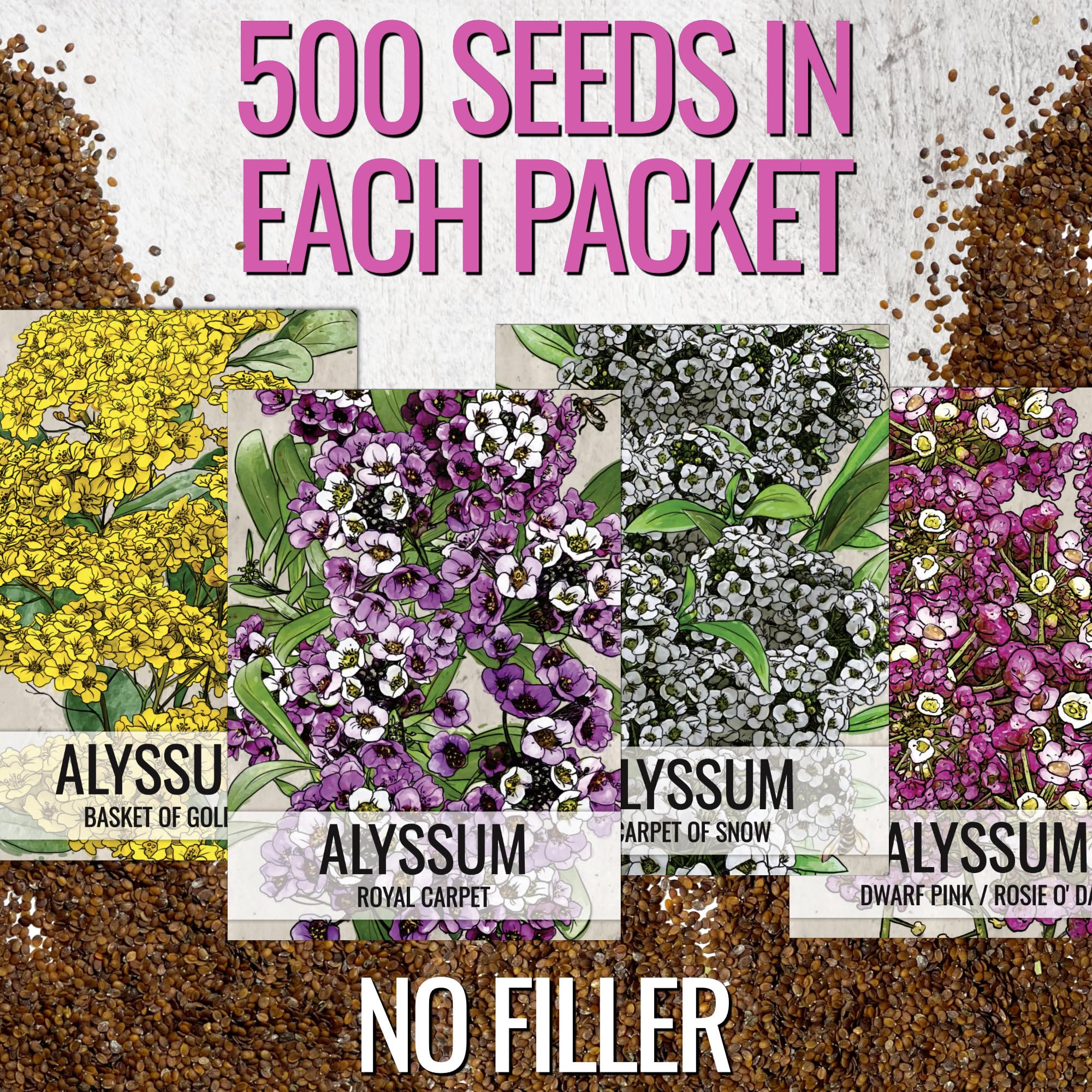 Seed Needs Dwarf Pink alyssum seeds for compact container plantings.