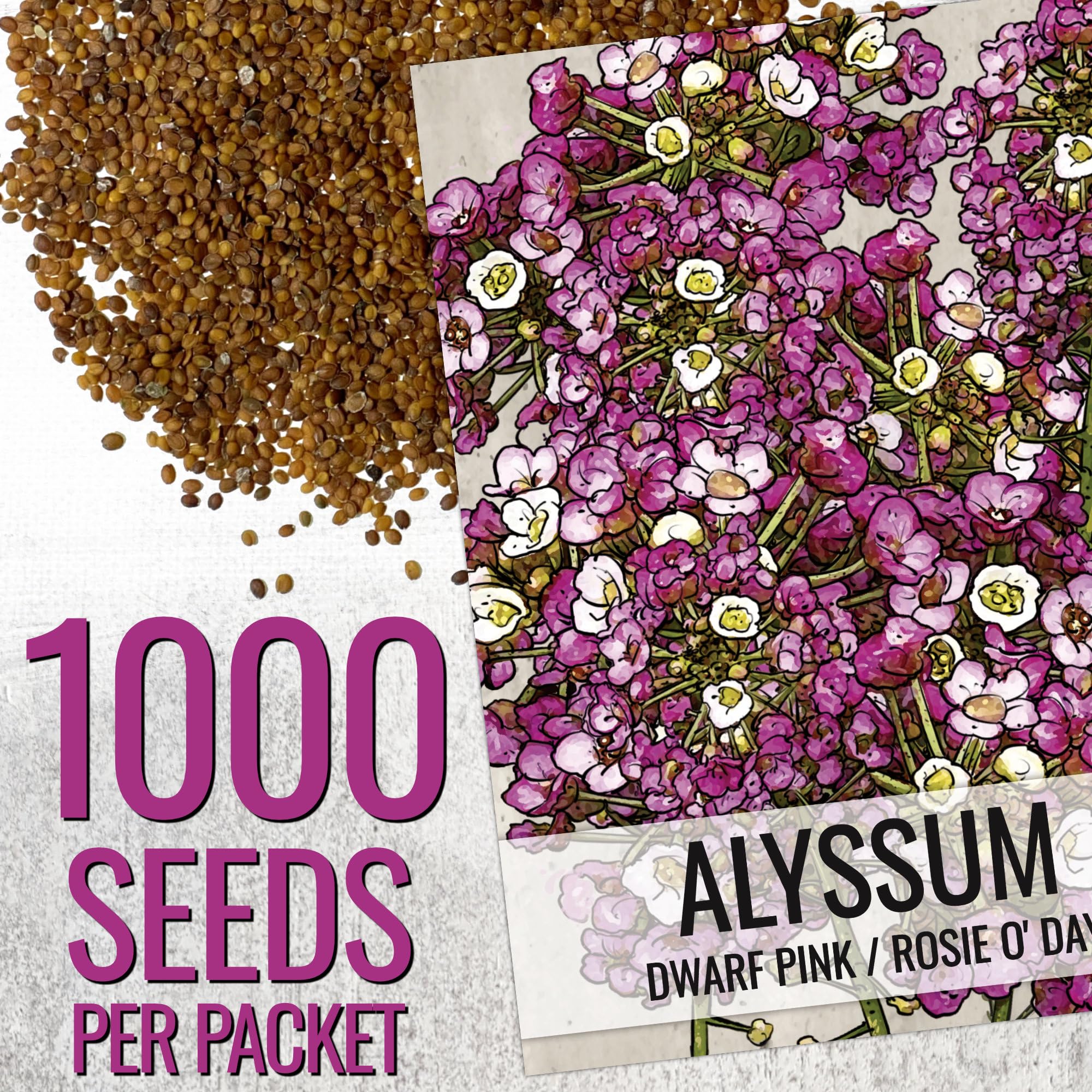 Seed Needs Dwarf Pink Alyssum seeds close-up ready for sowing in pots and borders.