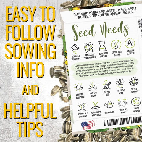 Seed Needs Dwarf Sunflower compact height for small-space gardens.