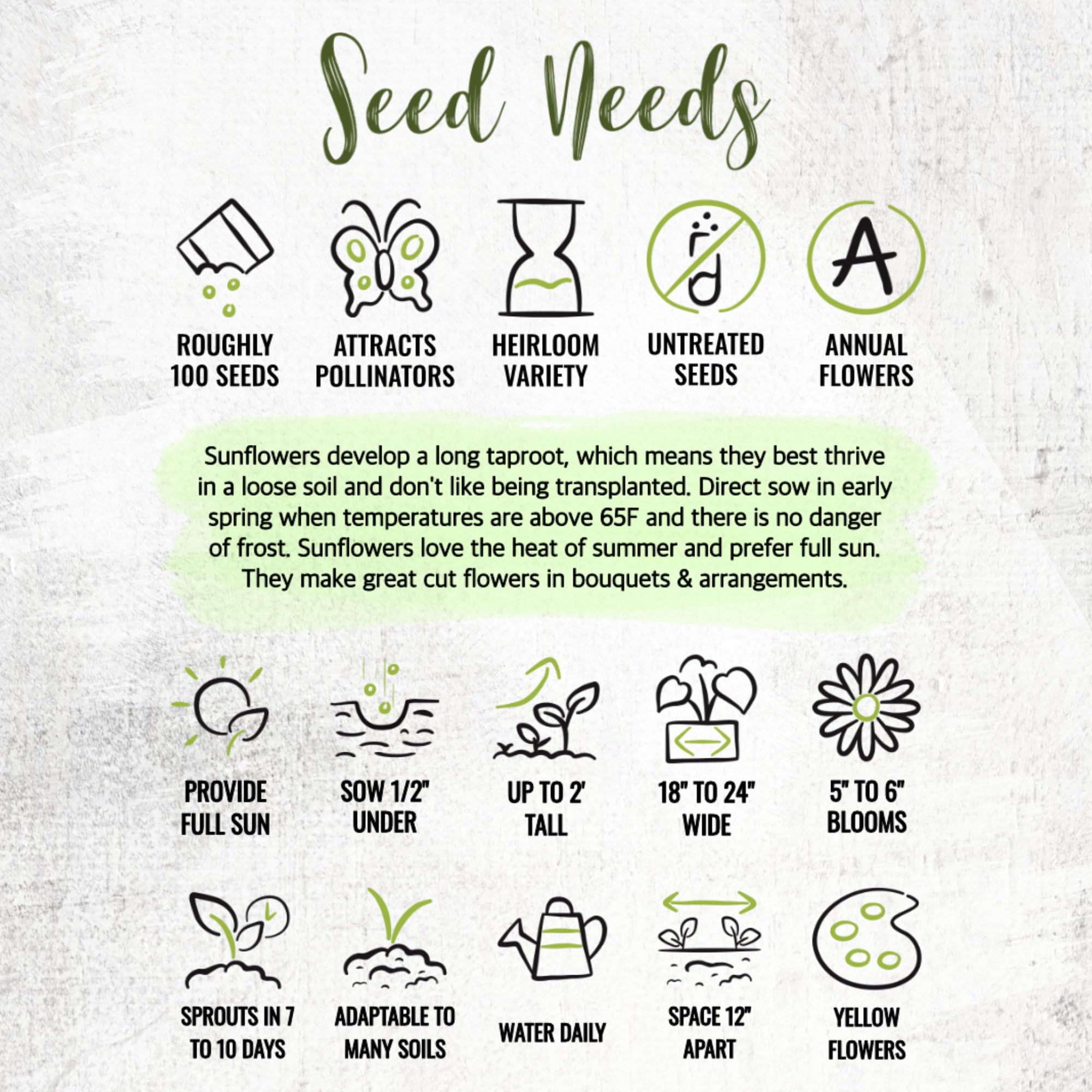 Seed Needs Dwarf Sunflower seed packets include sowing guidance for success.
