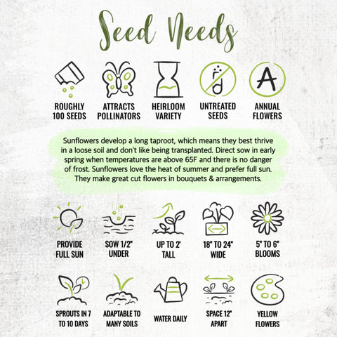 Seed Needs Dwarf Sunflower seed packets include sowing guidance for success.