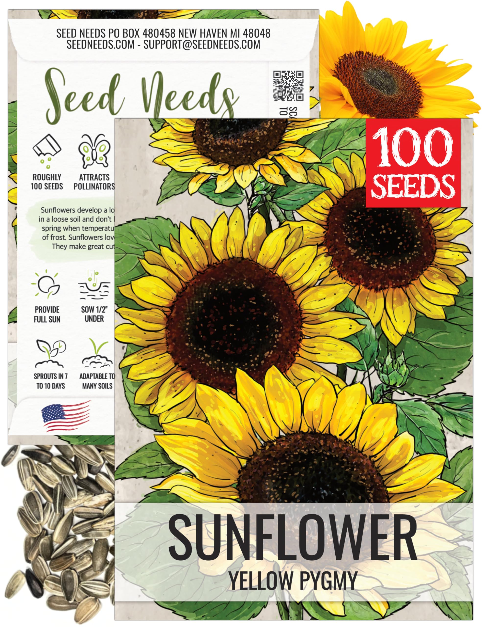 Seed Needs Dwarf Sunflower seed pack front, ready for sunny garden planting.