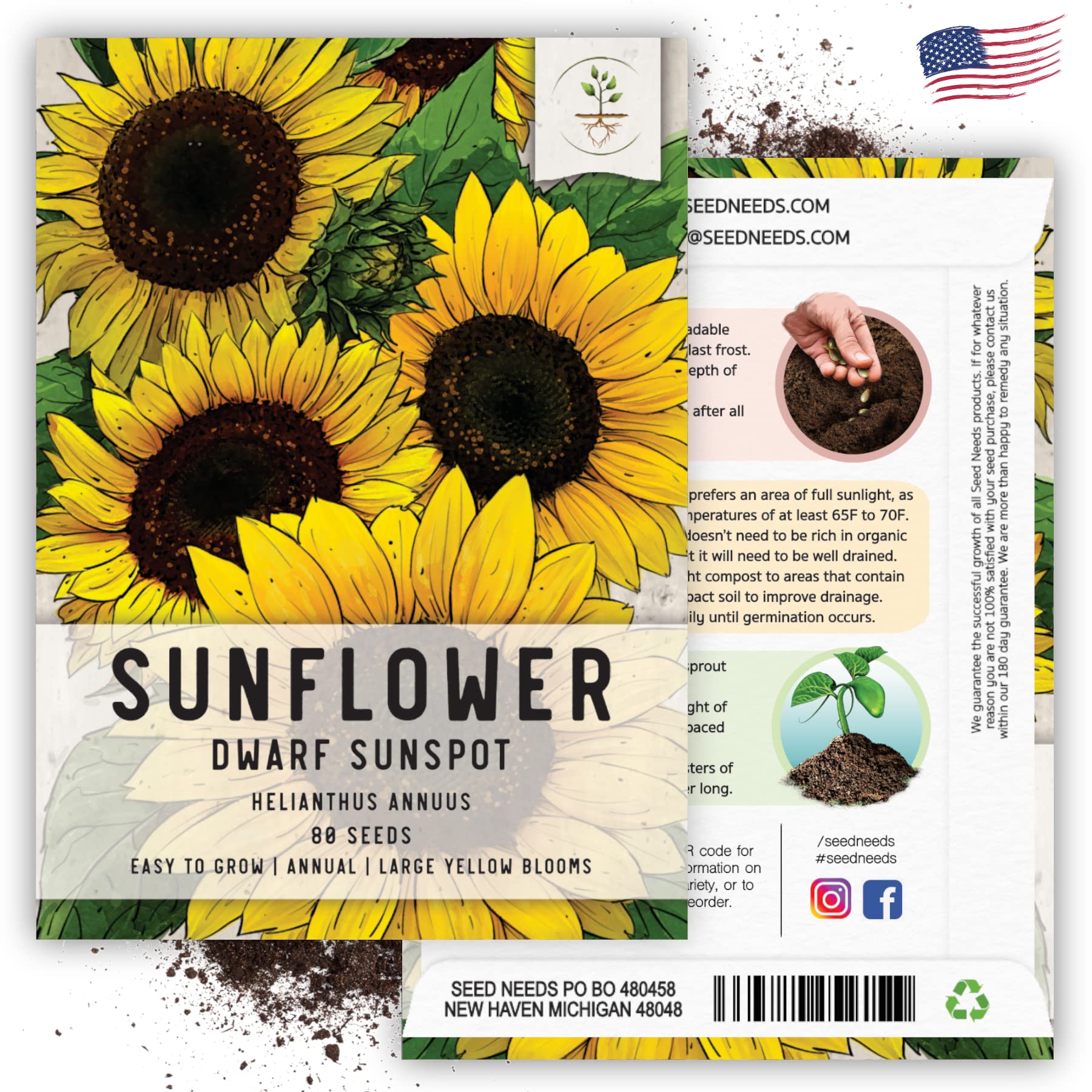 Seed Needs Dwarf Sunspot attracting bees and butterflies in the garden