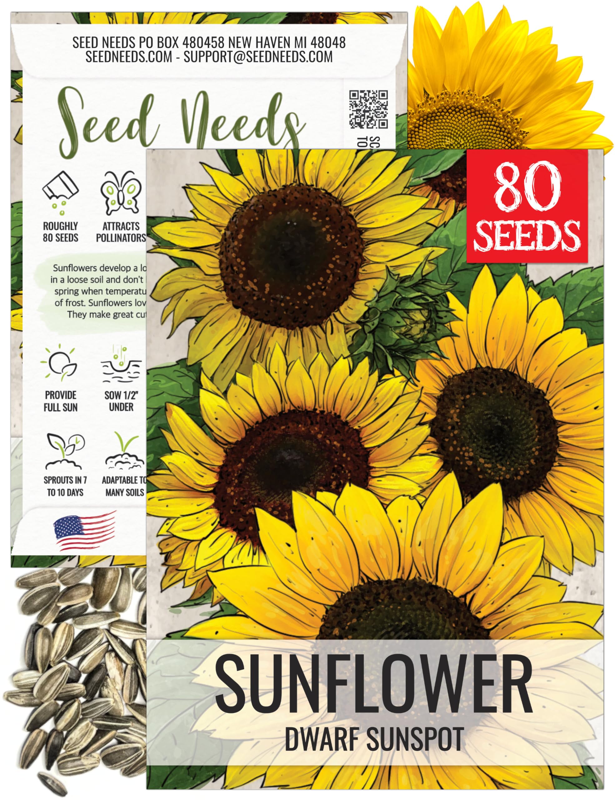 Seed Needs Dwarf Sunspot seed pack shown for small-space gardens and containers