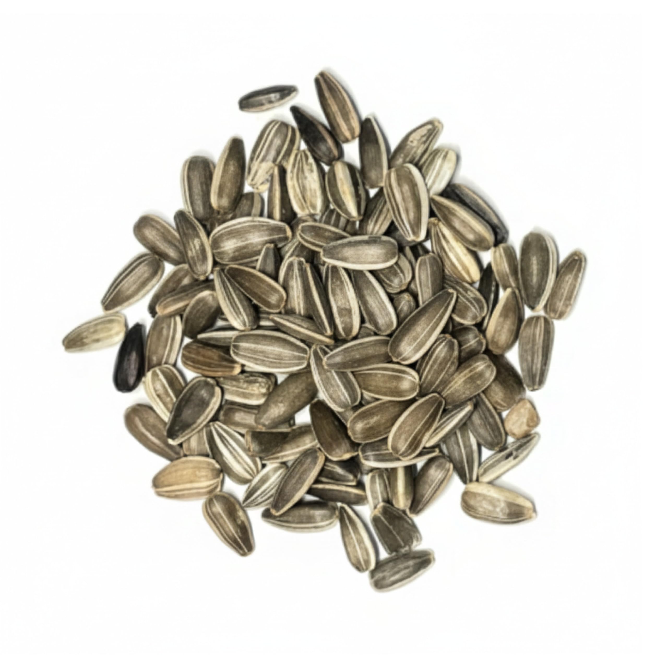 Seed Needs Dwarf Sunspot seeds offer quick germination with proper sowing.