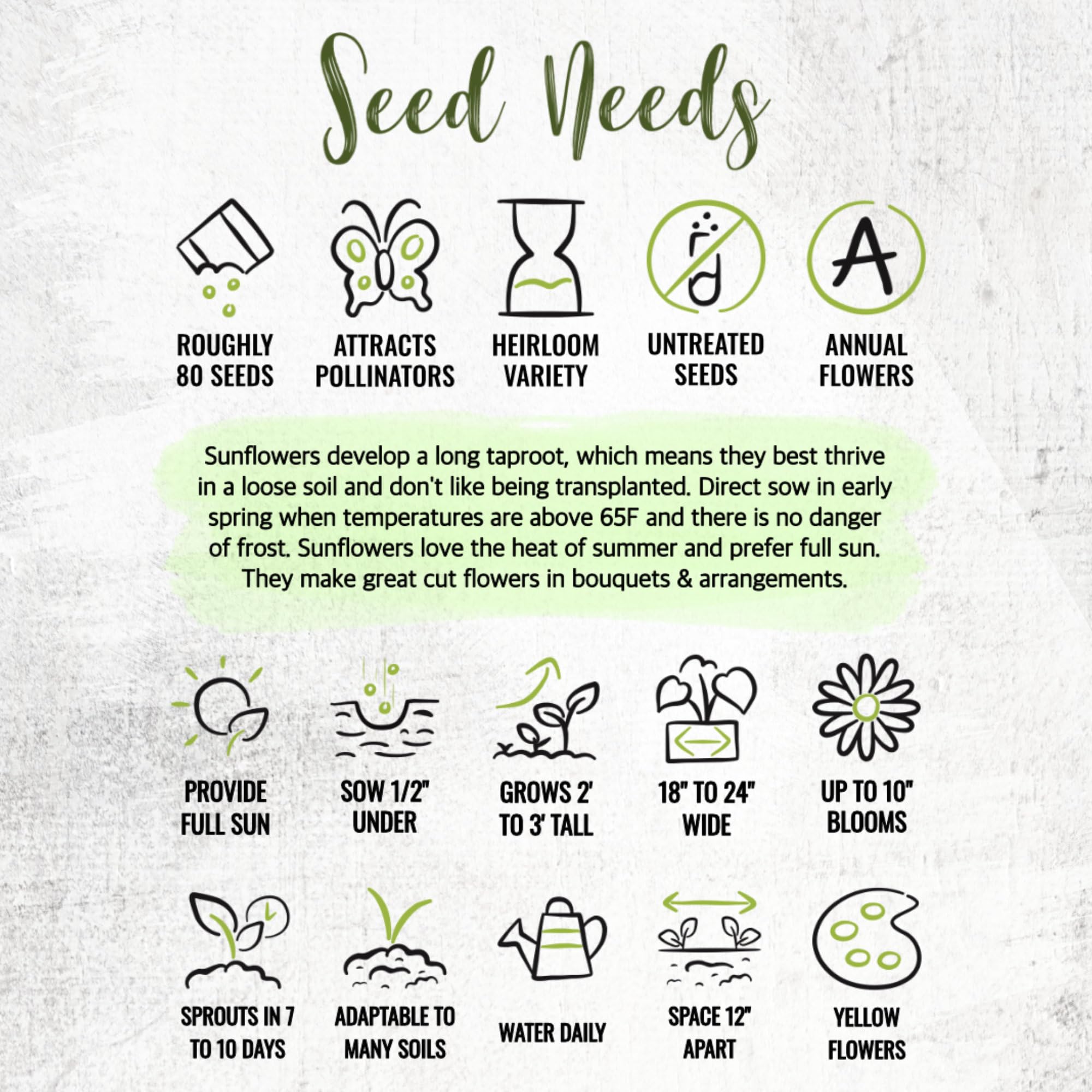 Seed Needs Dwarf Sunspot seeds are open-pollinated and heirloom for versatile planting.