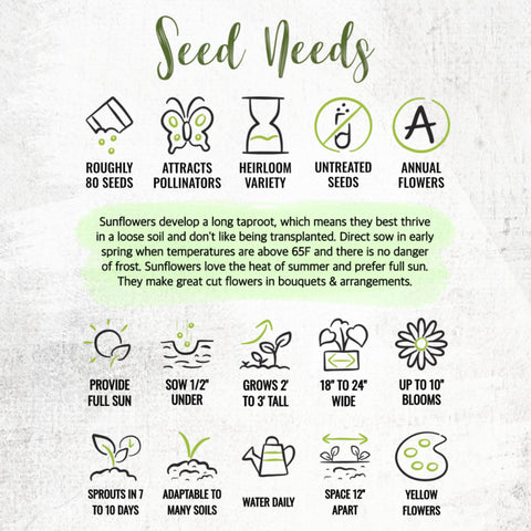Seed Needs Dwarf Sunspot seeds are open-pollinated and heirloom for versatile planting.