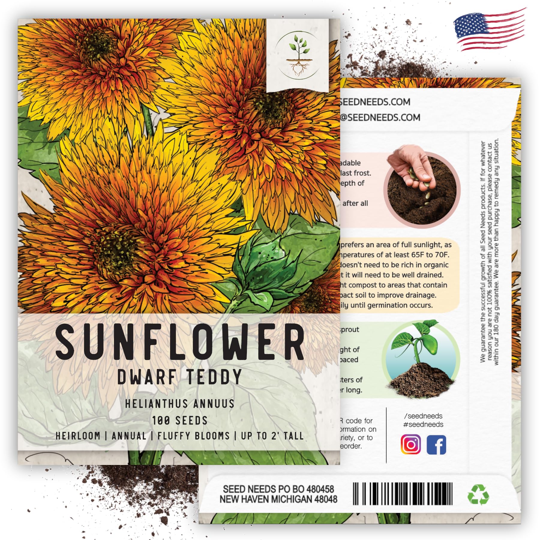 Seed Needs Dwarf Teddy Sunflower seed packet features art and tips.