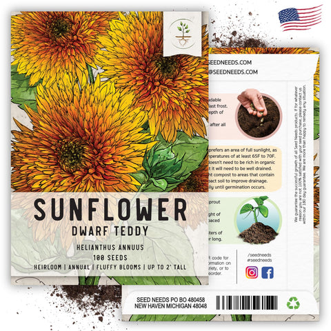 Seed Needs Dwarf Teddy Sunflower seed packet features art and tips.