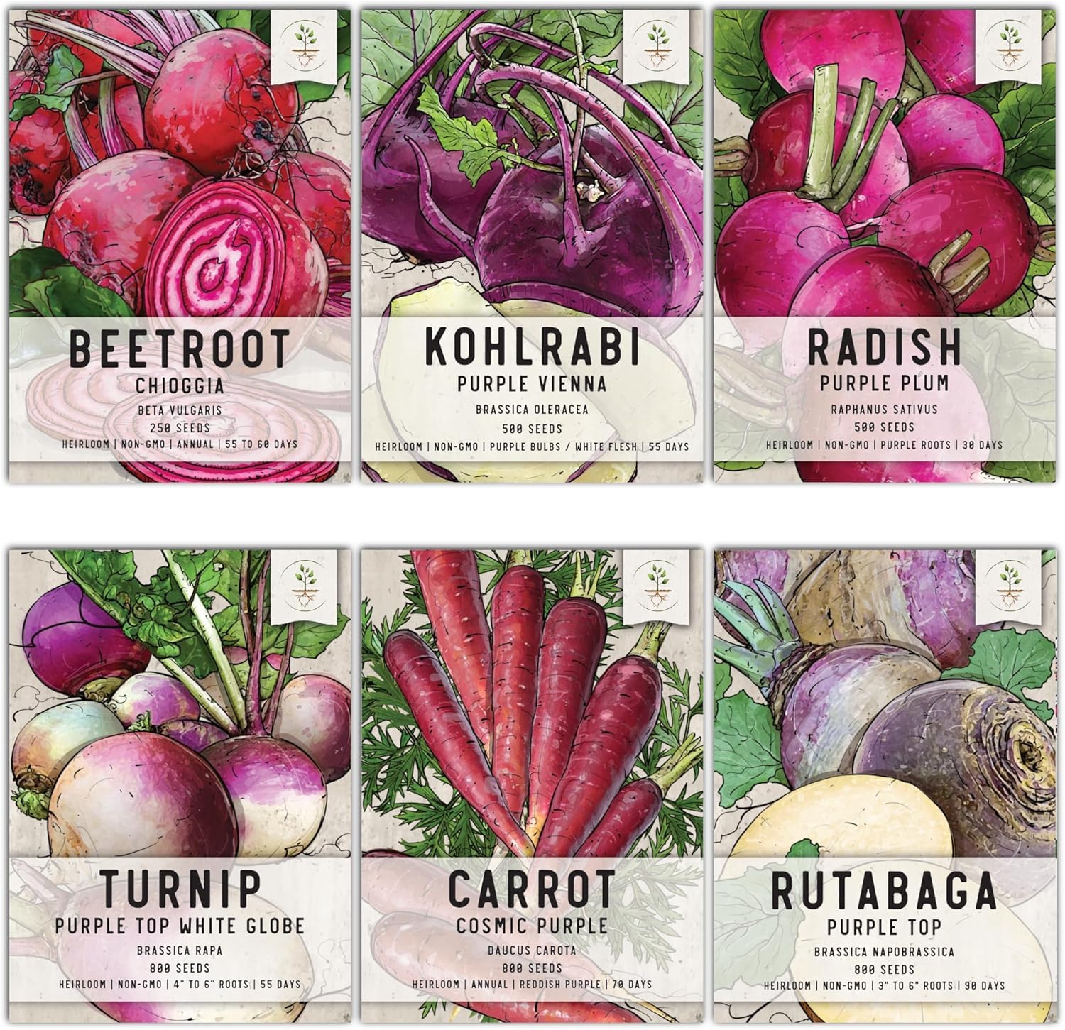 Seed Needs edible roots variety pack seeds for a diverse home garden harvest.