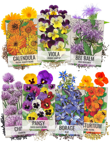 Seed Needs edible wildflower packet front illustration showing seven varieties for garden color