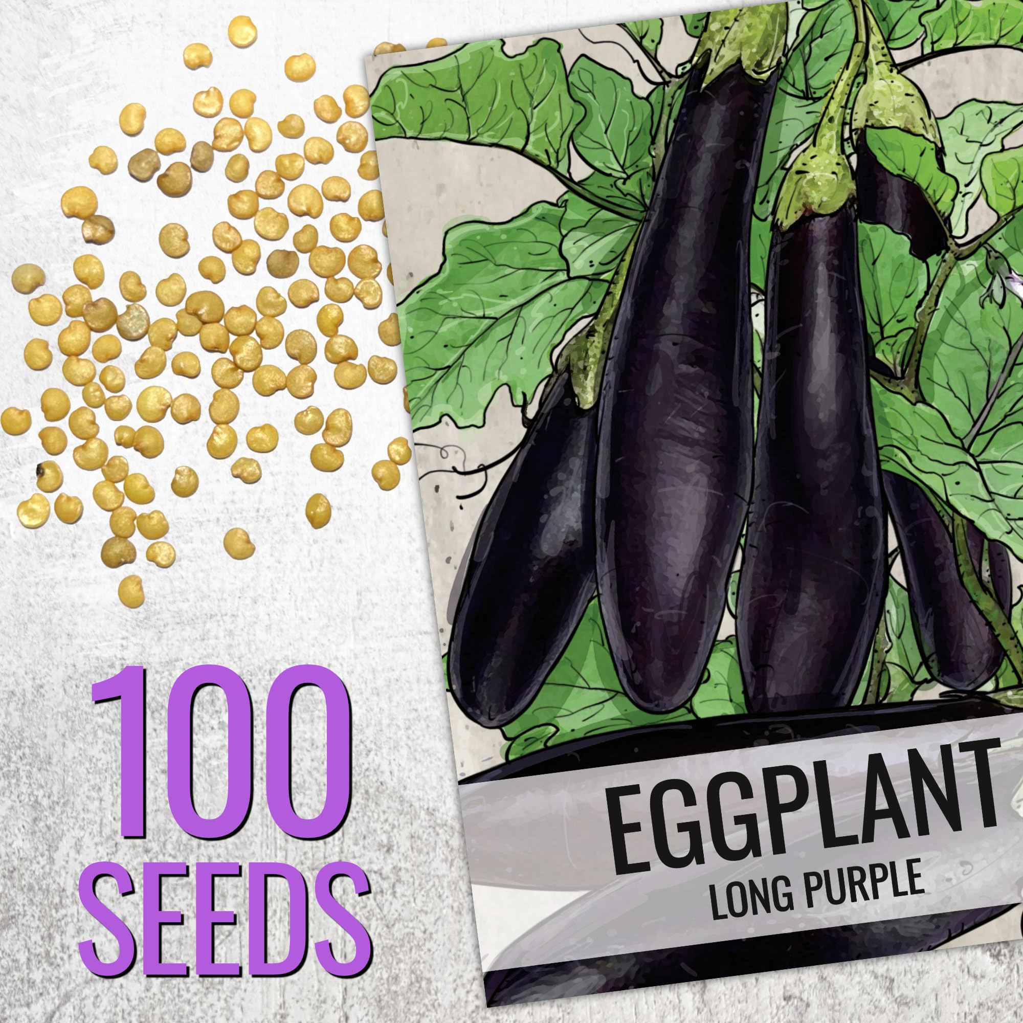 Seed Needs eggplant harvest-ready fruit on plant for fresh meals.