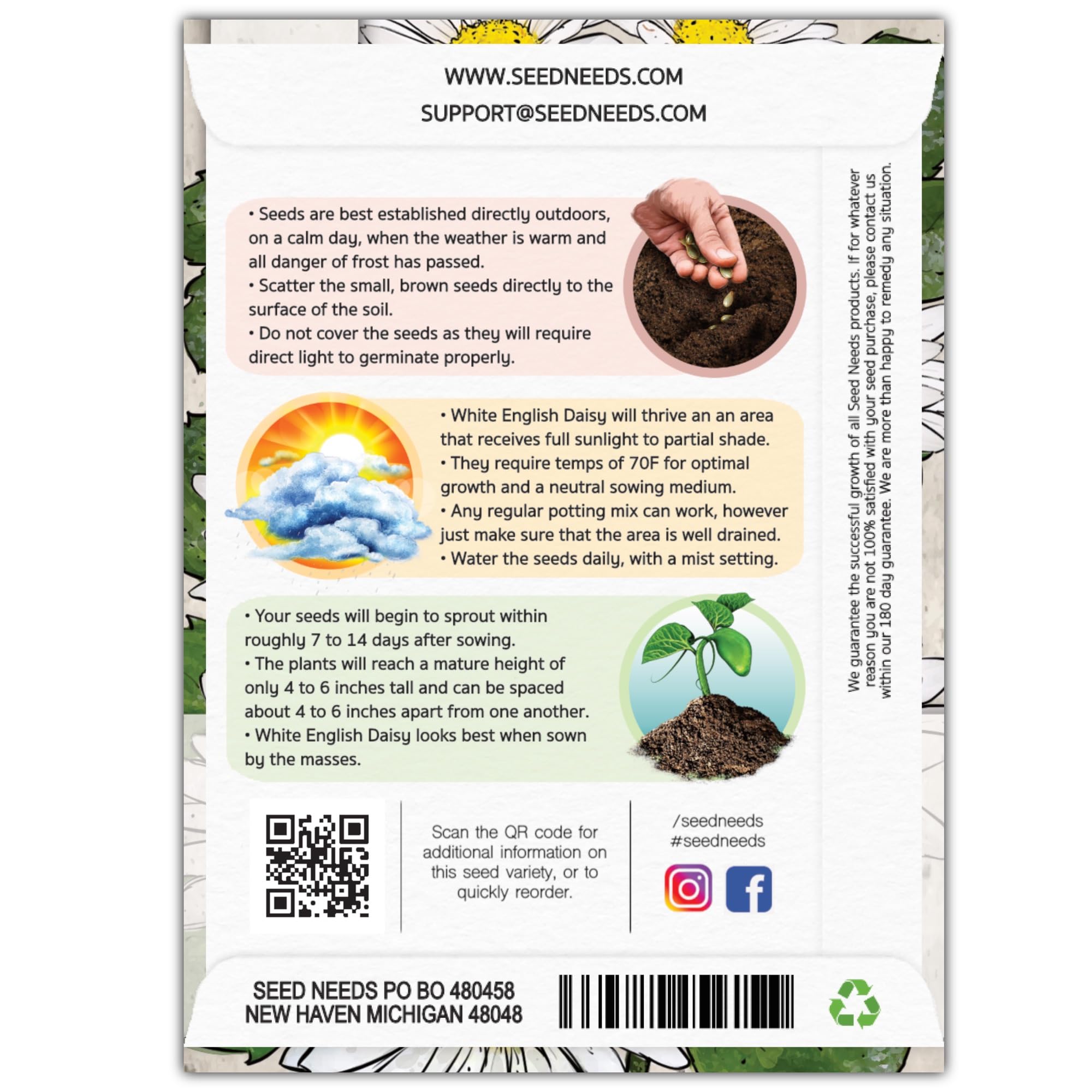 Seed Needs English Daisy seeds form a compact 4–6 inch plant with a 6 inch spread.