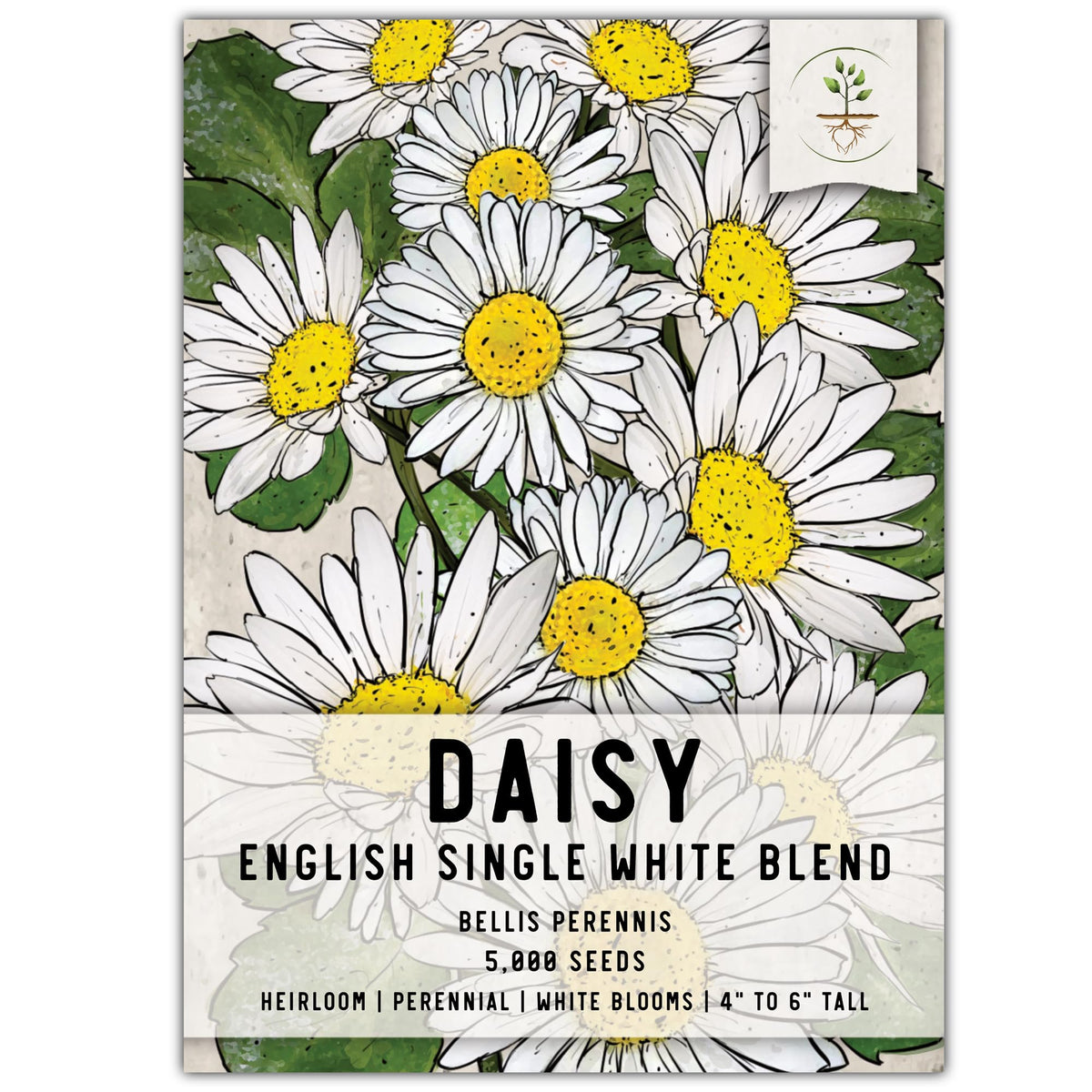 Seed Needs English Daisy seeds with white blooms for a low-growing groundcover.