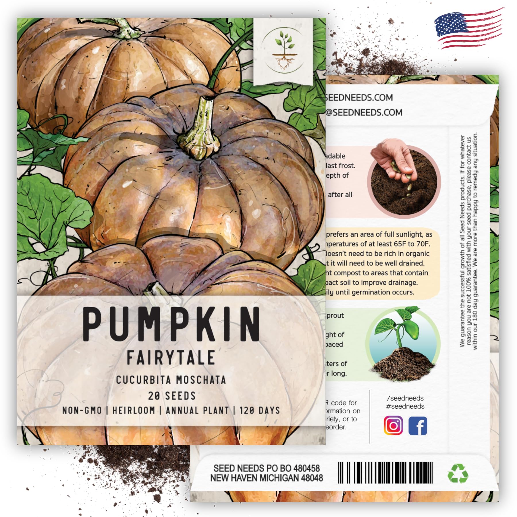 Seed Needs Fairytale pumpkin garden setup demonstrating space and sun needs