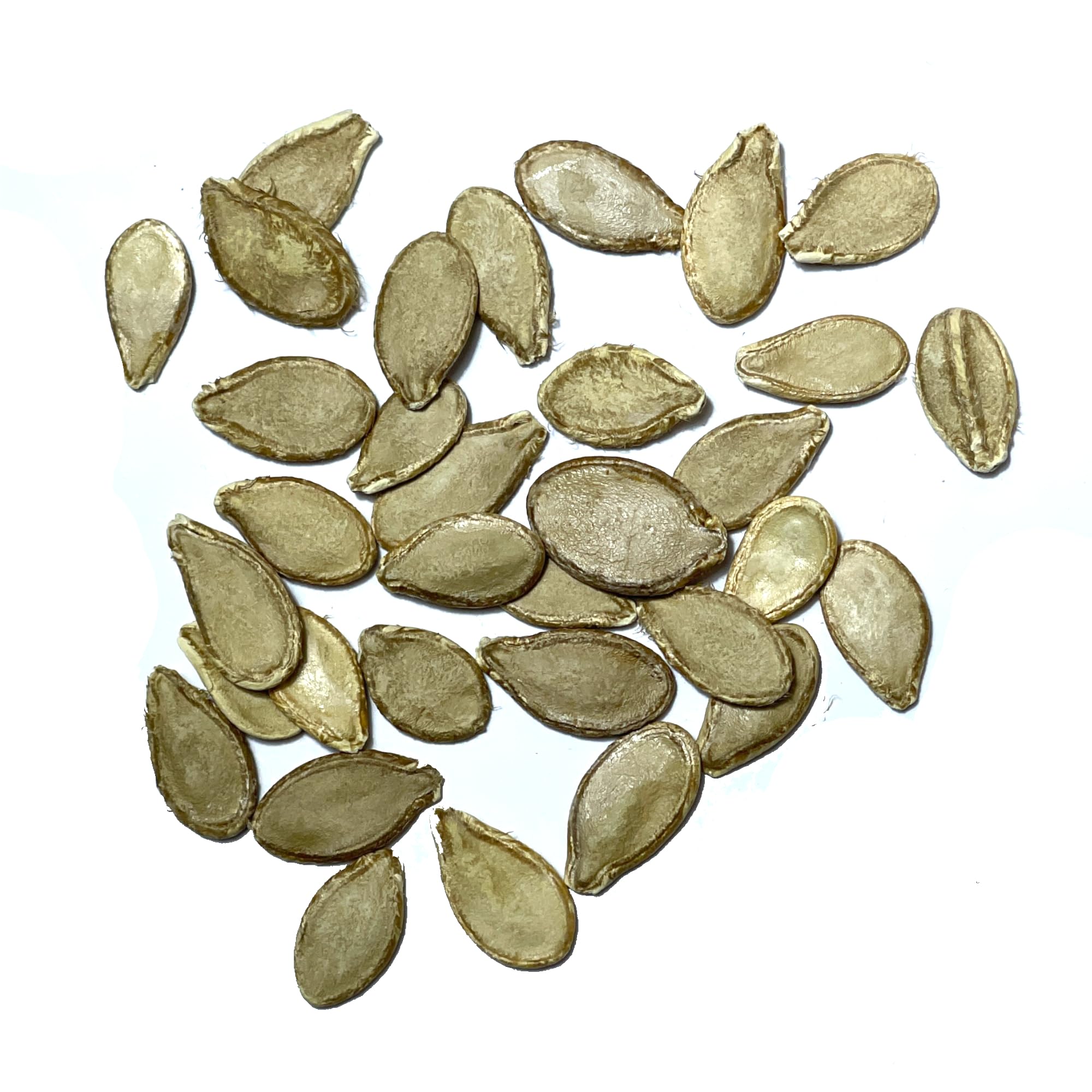 Seed Needs Fairytale pumpkin rind image emphasizes ornamental and culinary appeal