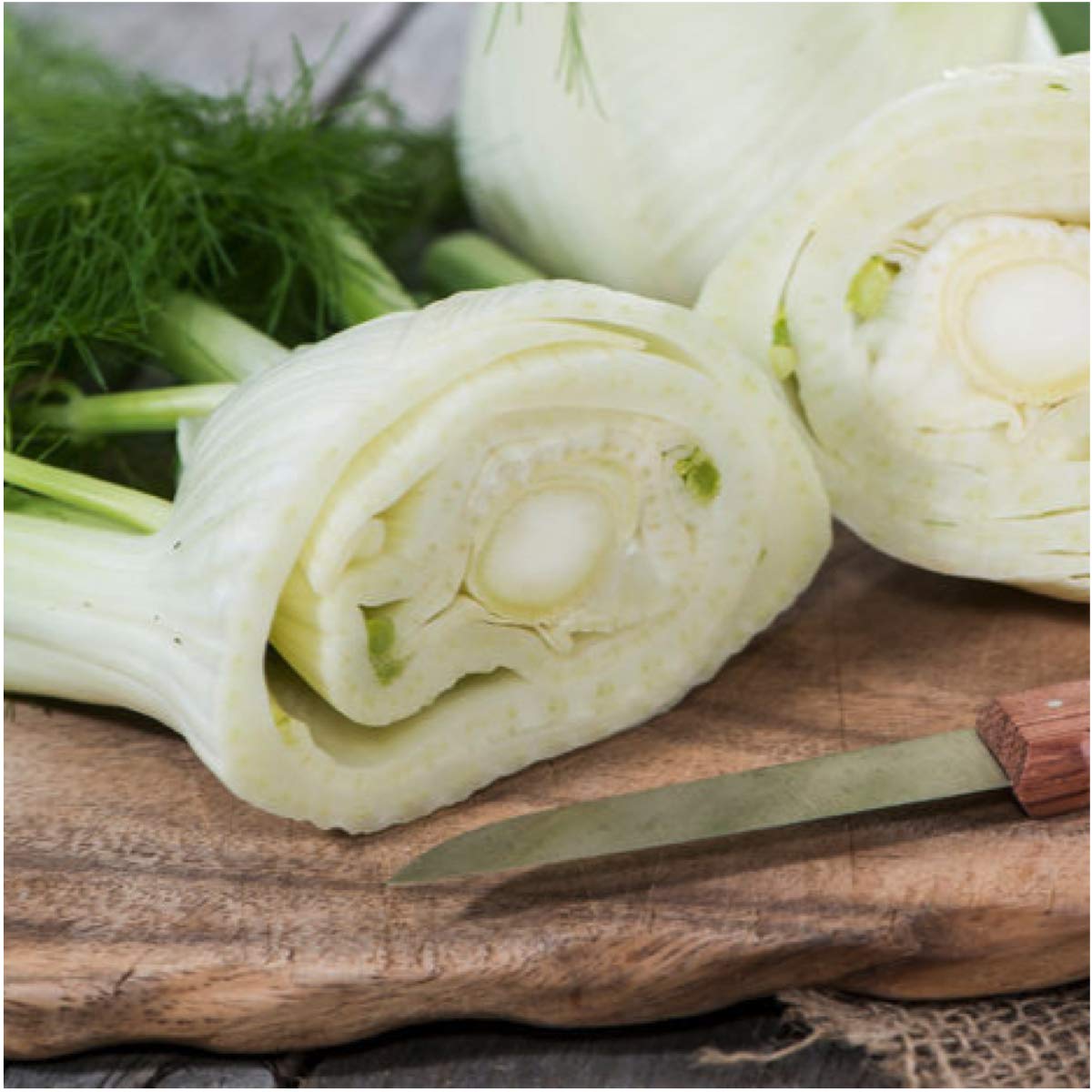 Seed Needs Florence fennel seeds storage preserves seed freshness