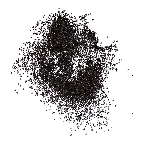 Seed Needs Forget Me Not attract butterflies and bees in outdoor gardens.