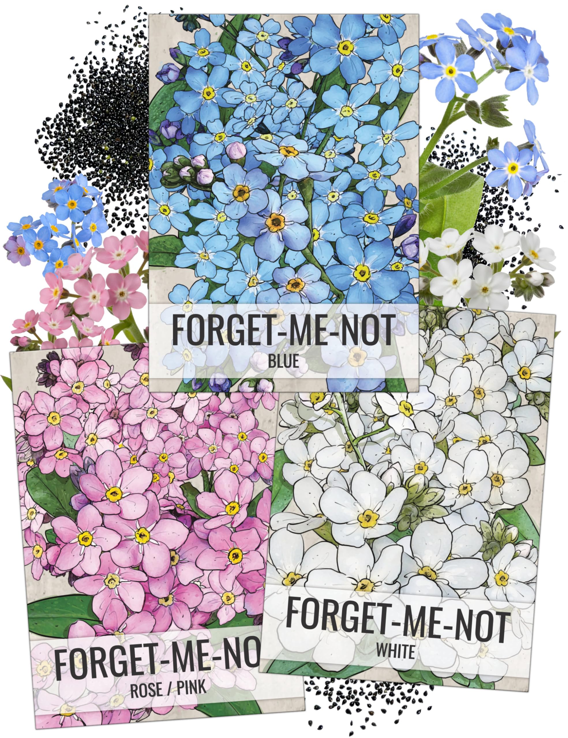 Seed Needs Forget-Me-Not blue flowers seed packet for cottage borders and sunny display.
