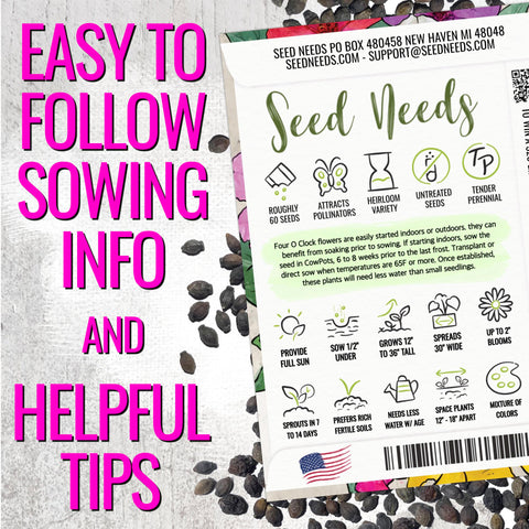 Sowing Seed Needs Four O Clock seeds in a garden bed for summer color.