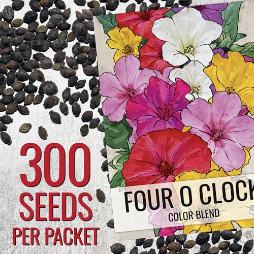 Seed Needs Four O' Clock mixed colors bloom in sunny garden
