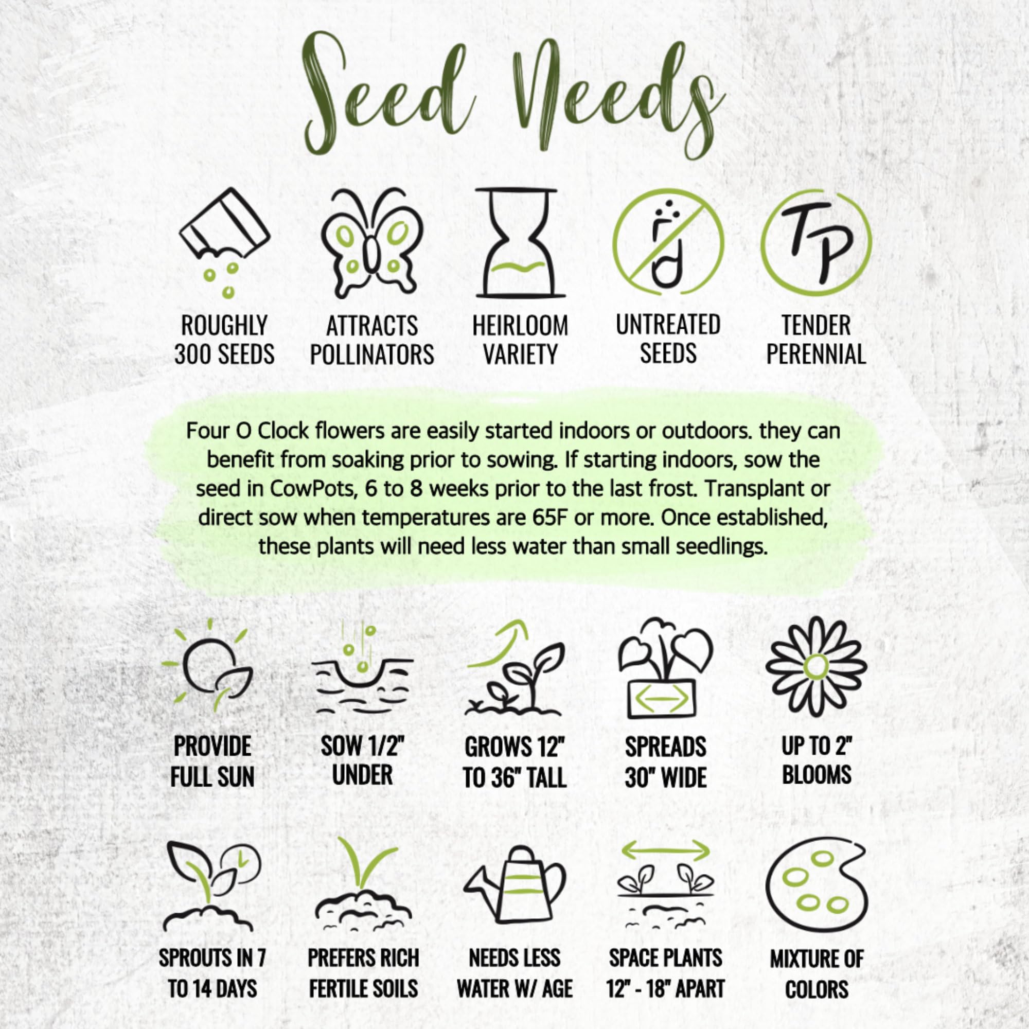 Seed Needs Four O' Clock seeds arrive in moisture-resistant packets