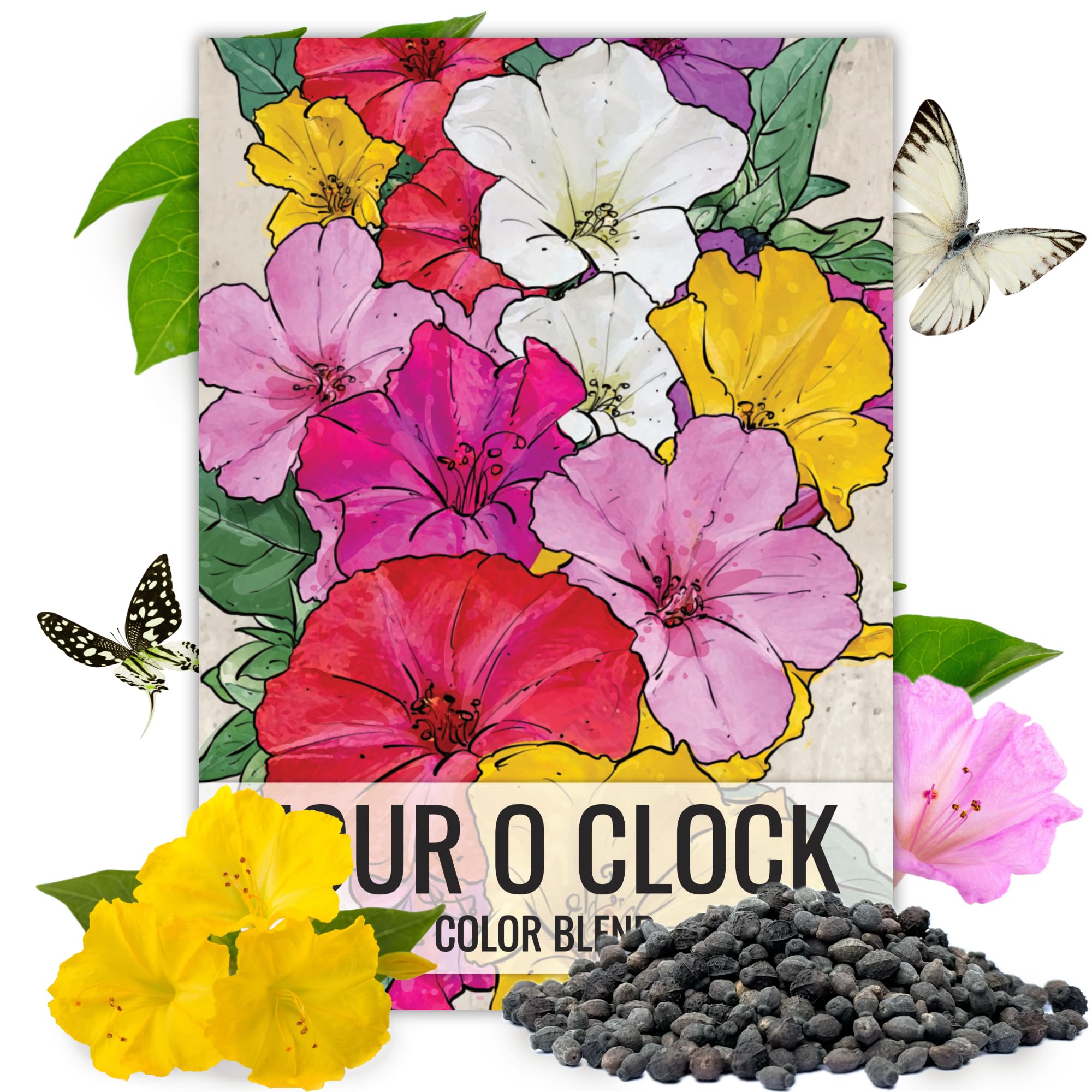 Seed Needs Four O' Clock seeds packaging with art and sowing guide