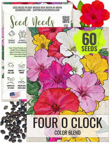 Seed Needs Four O Clock seeds create vibrant mixed trumpet blooms in close-up view.