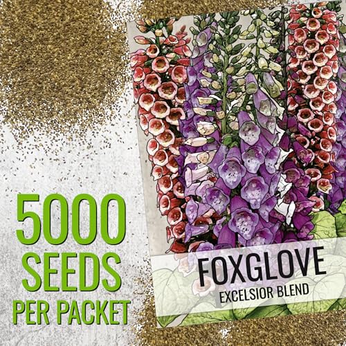 Seed Needs Foxglove Excelsior Mix grows tall backdrops up to six feet