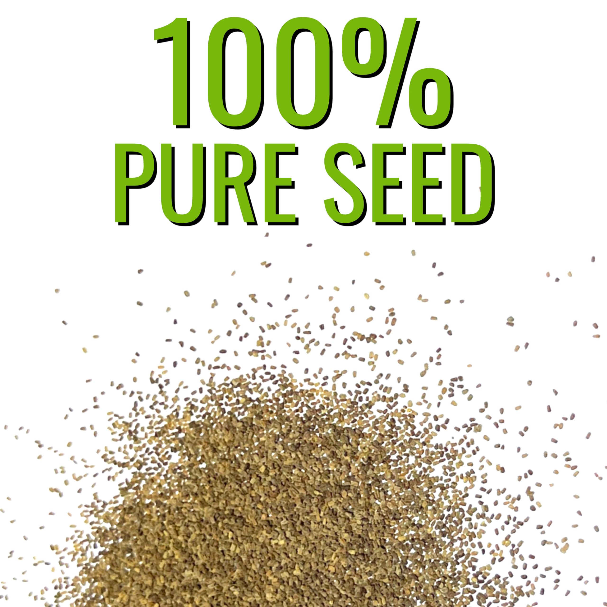 Open-pollinated, mostly heirloom seeds from Seed Needs