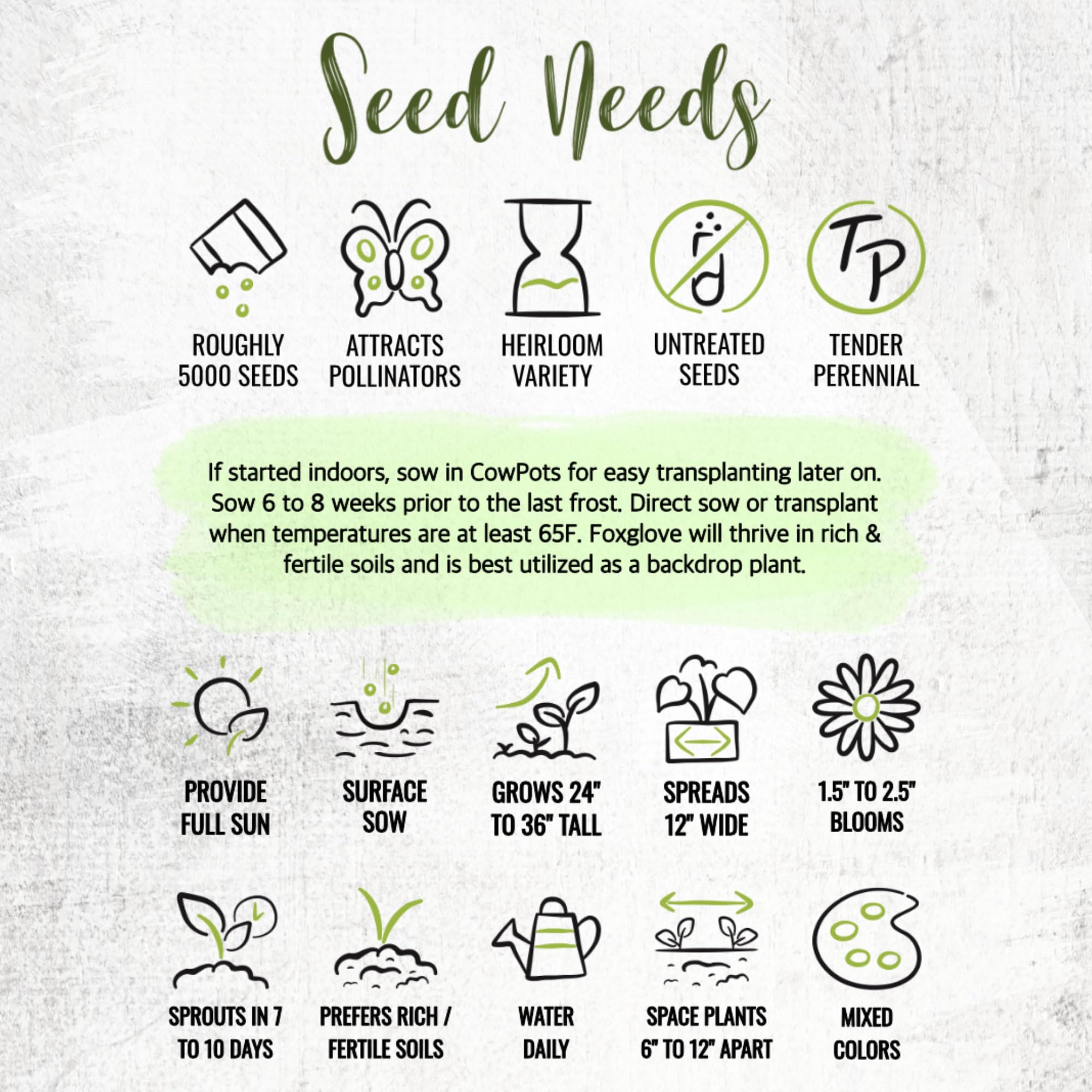 Illustrated packet shows sowing steps for quick success