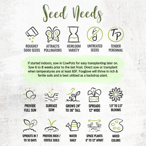 Illustrated packet shows sowing steps for quick success