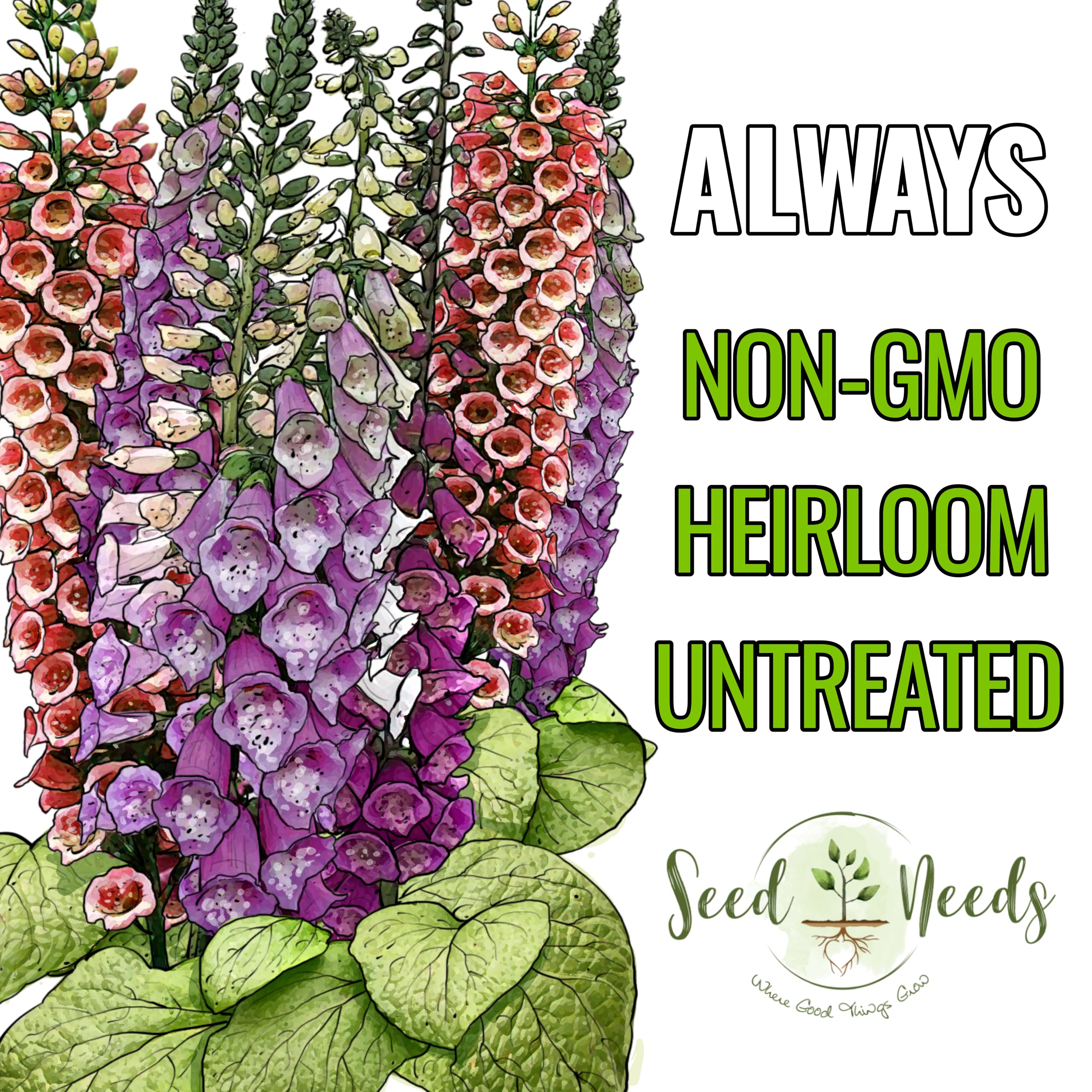 Illustrated Seed Needs packet provides sowing directions and variety artwork