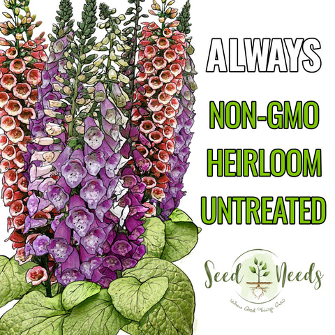 Illustrated Seed Needs packet provides sowing directions and variety artwork