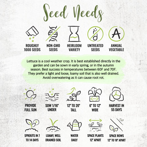 Seed Needs garden-ready seeds in a cool-weather setup for reliable yields.