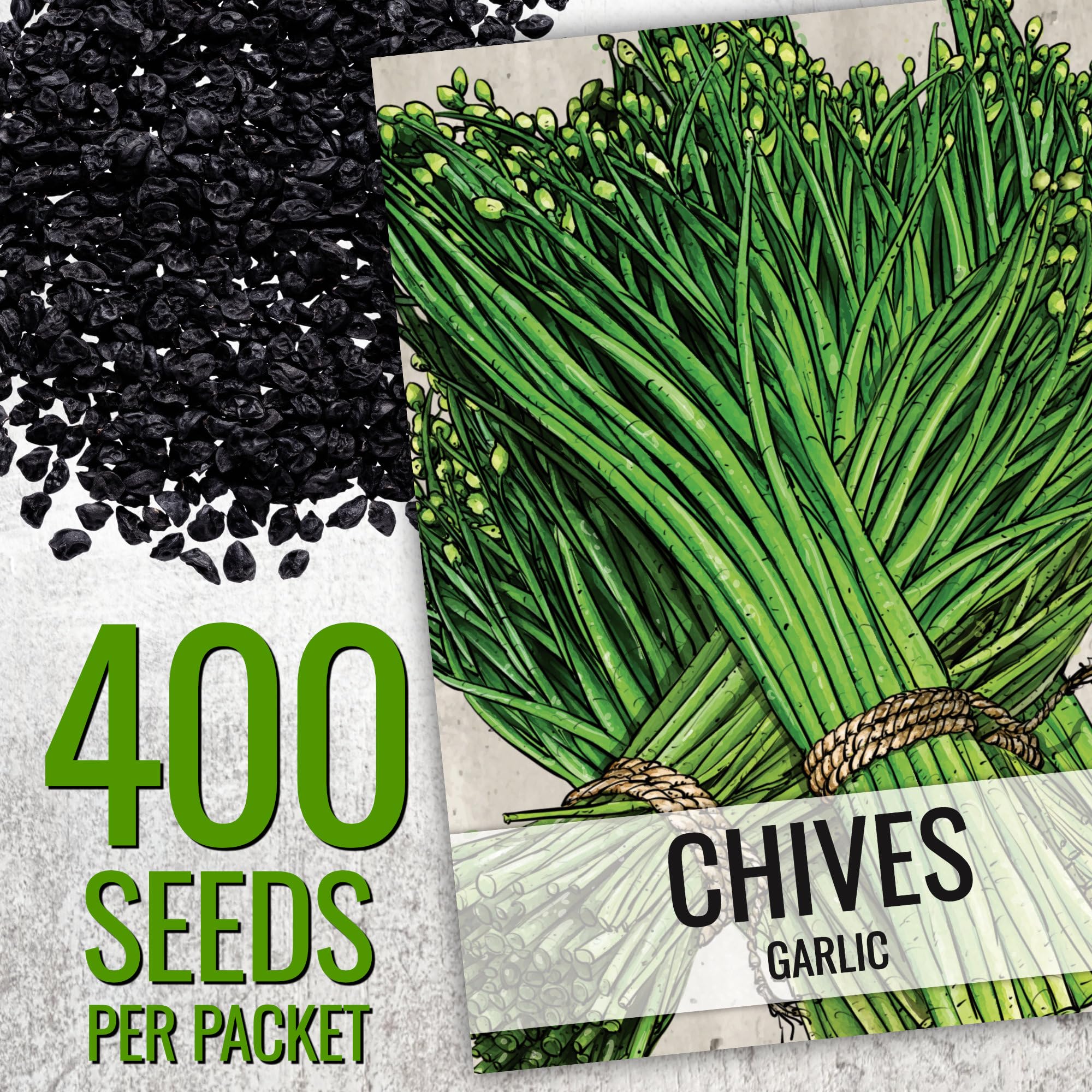 Seed Needs garlic chives seeds planted in container, bold garlic-onion flavor potential.