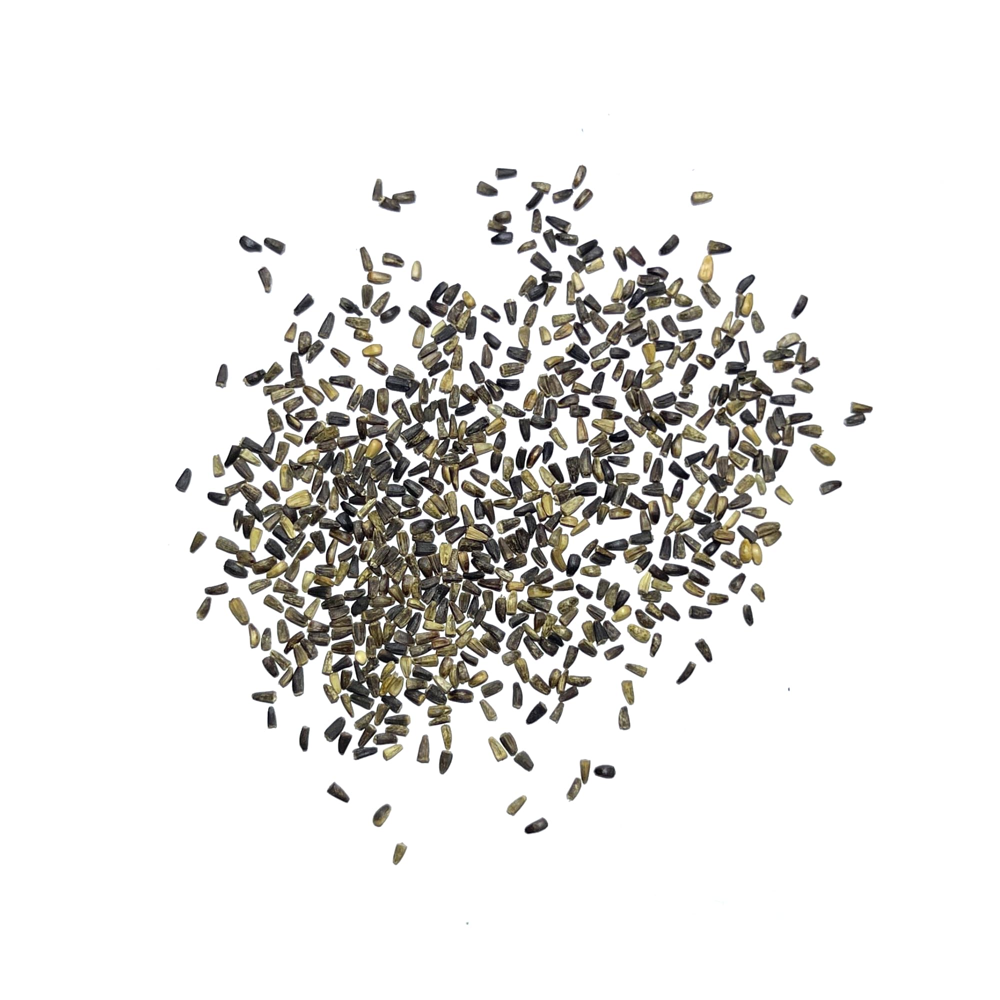 Seed Needs Garnet Stem Dandelion culinary use enhances salads and sautés
