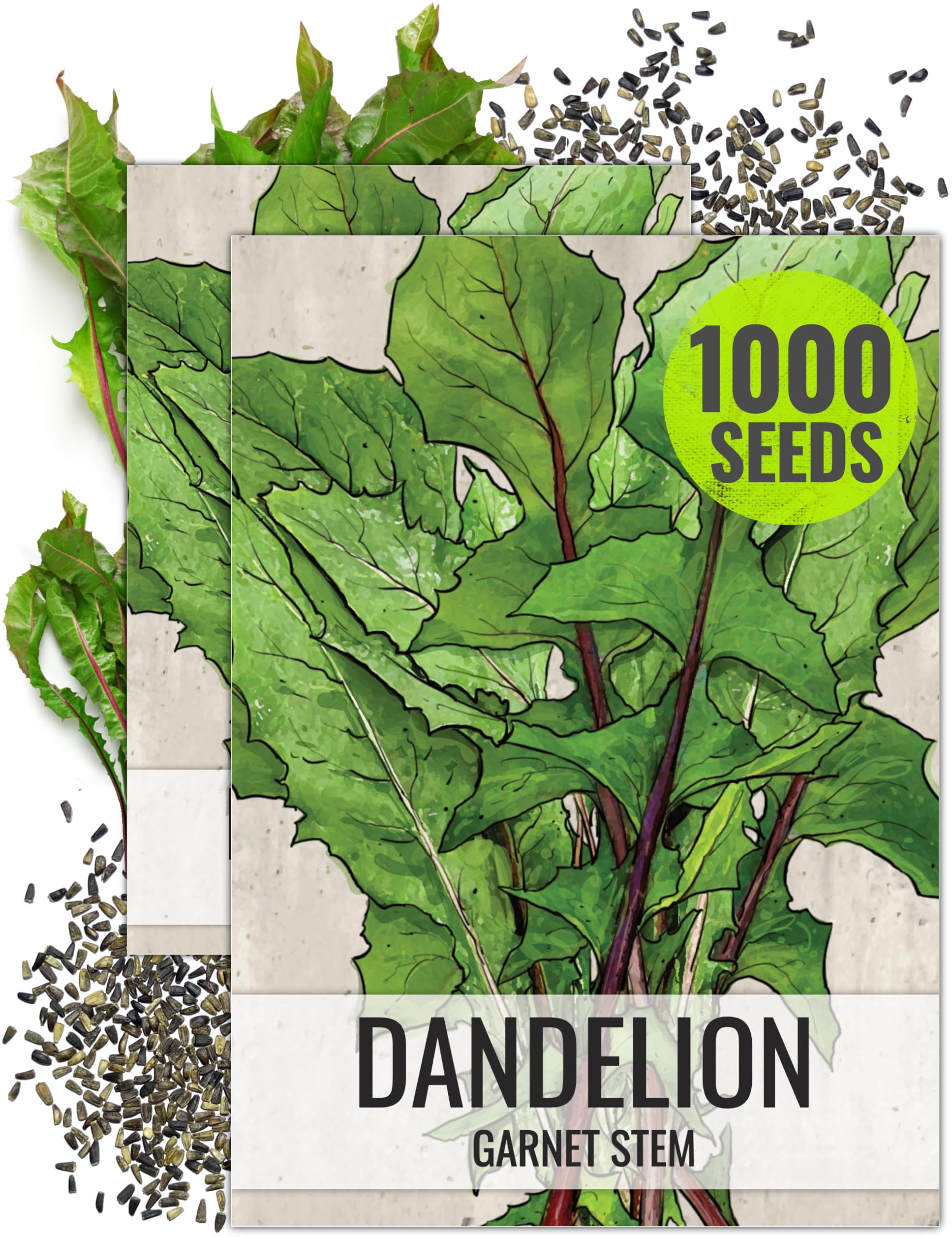 Seed Needs Garnet Stem Dandelion seed packet with sowing guide for easy starting.